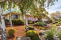 1789 Skyview Drive, San Leandro, 94577 Nahid Nassiri